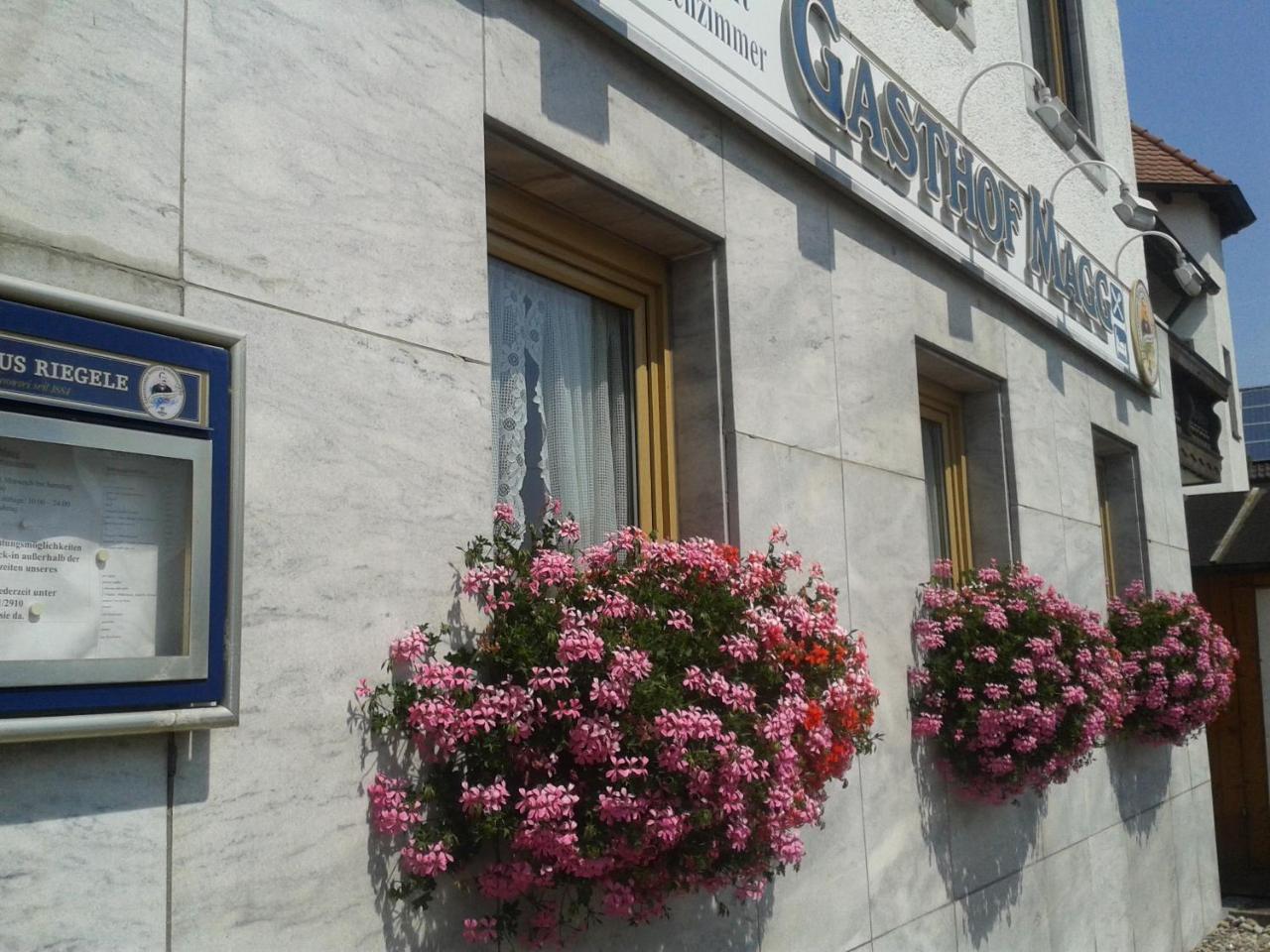 Gasthof Magg Ξενοδοχείο Biberbach  Εξωτερικό φωτογραφία