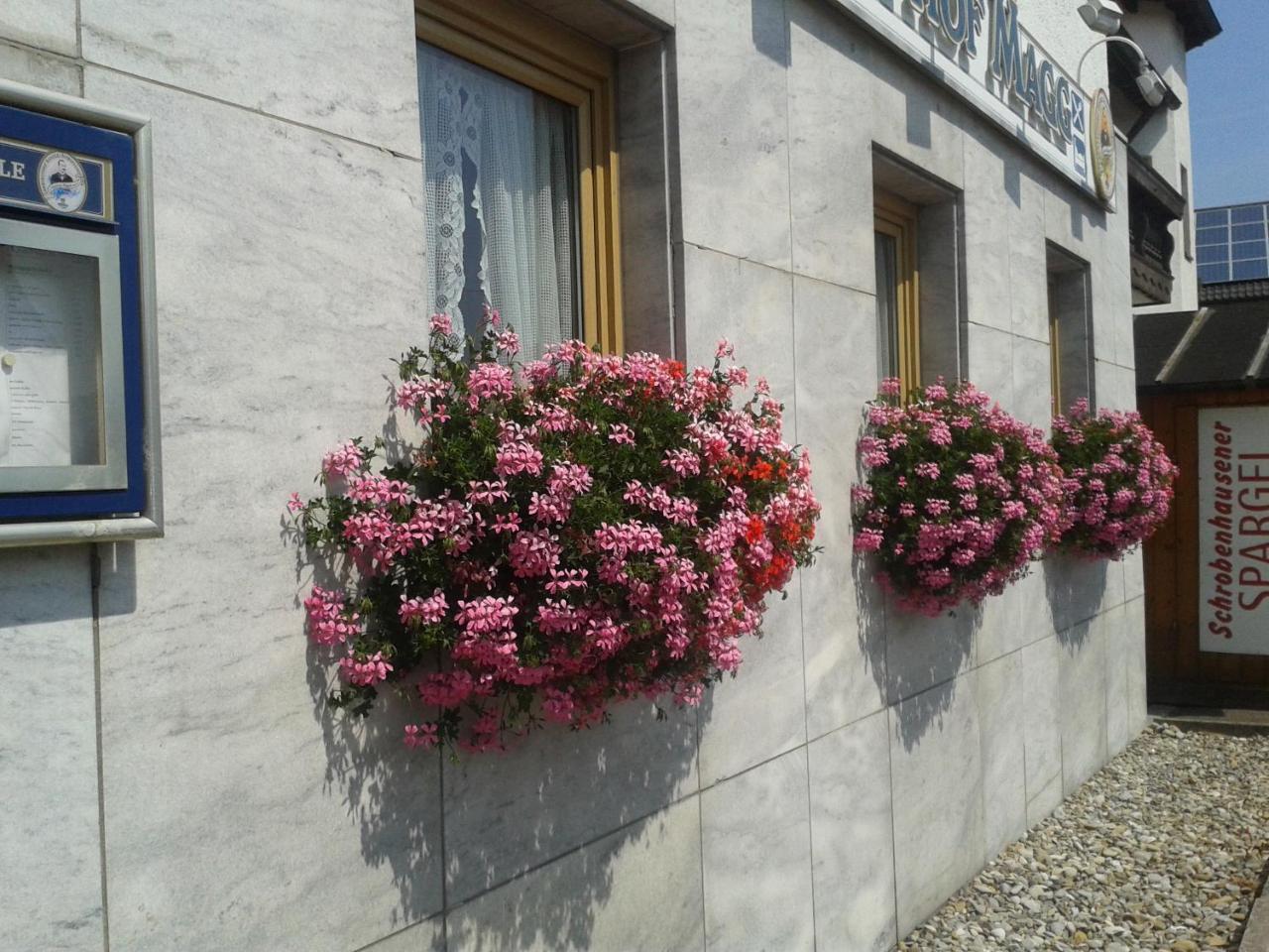 Gasthof Magg Ξενοδοχείο Biberbach  Εξωτερικό φωτογραφία